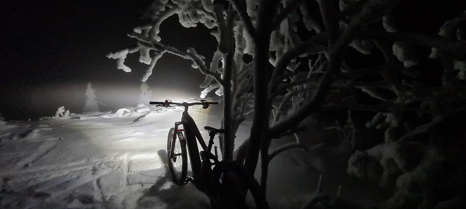 20210106_195942.jpg