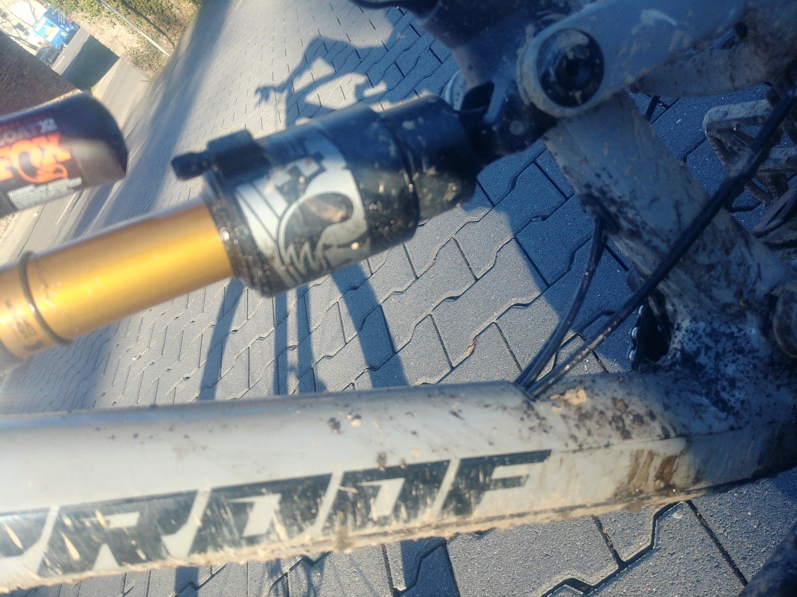 20210228_153632_HDR.jpg