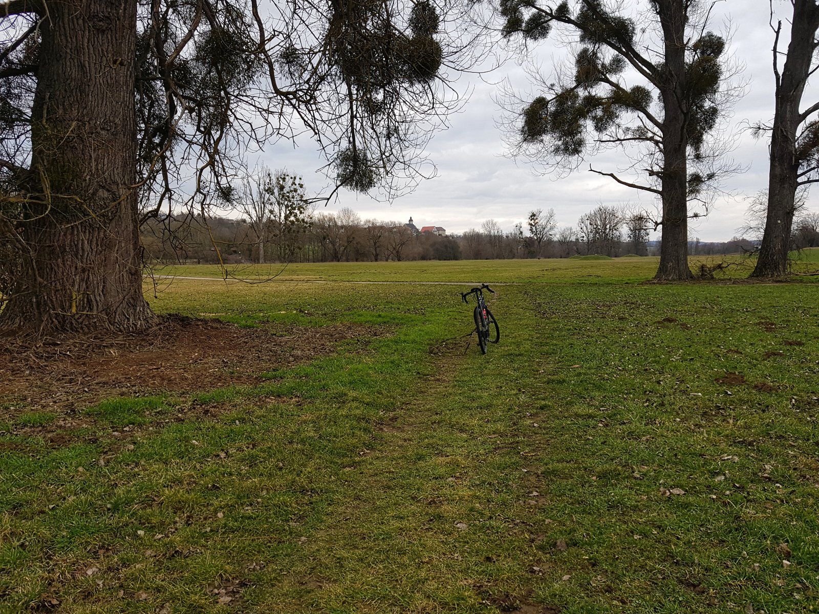 20210305_154953-01.jpeg
