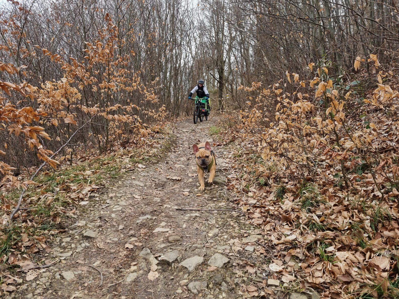 20210313_102537.jpg