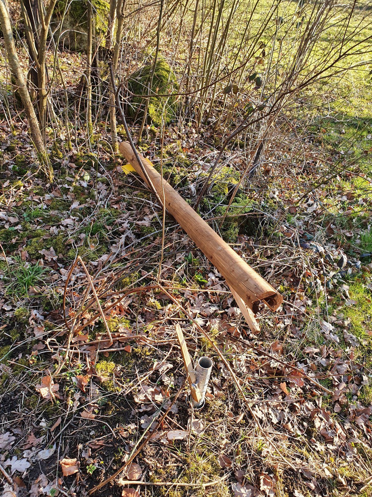20210324_172616.jpg