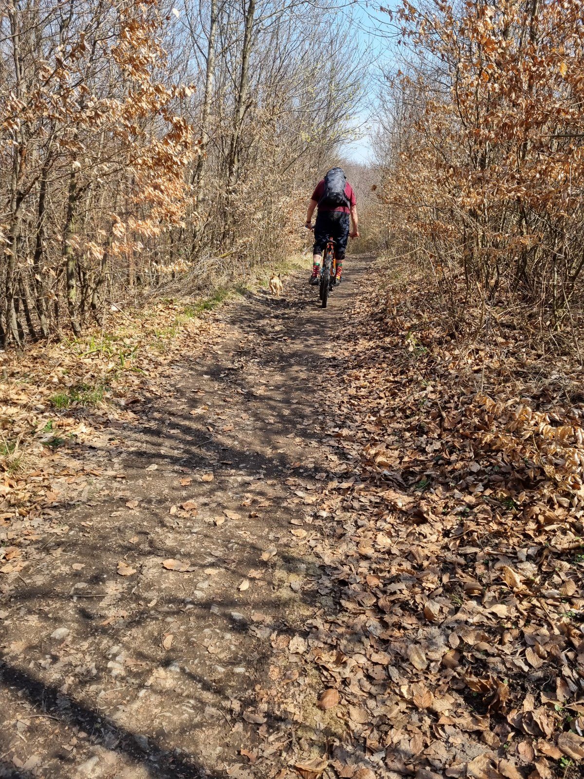 20210327_111915.jpg
