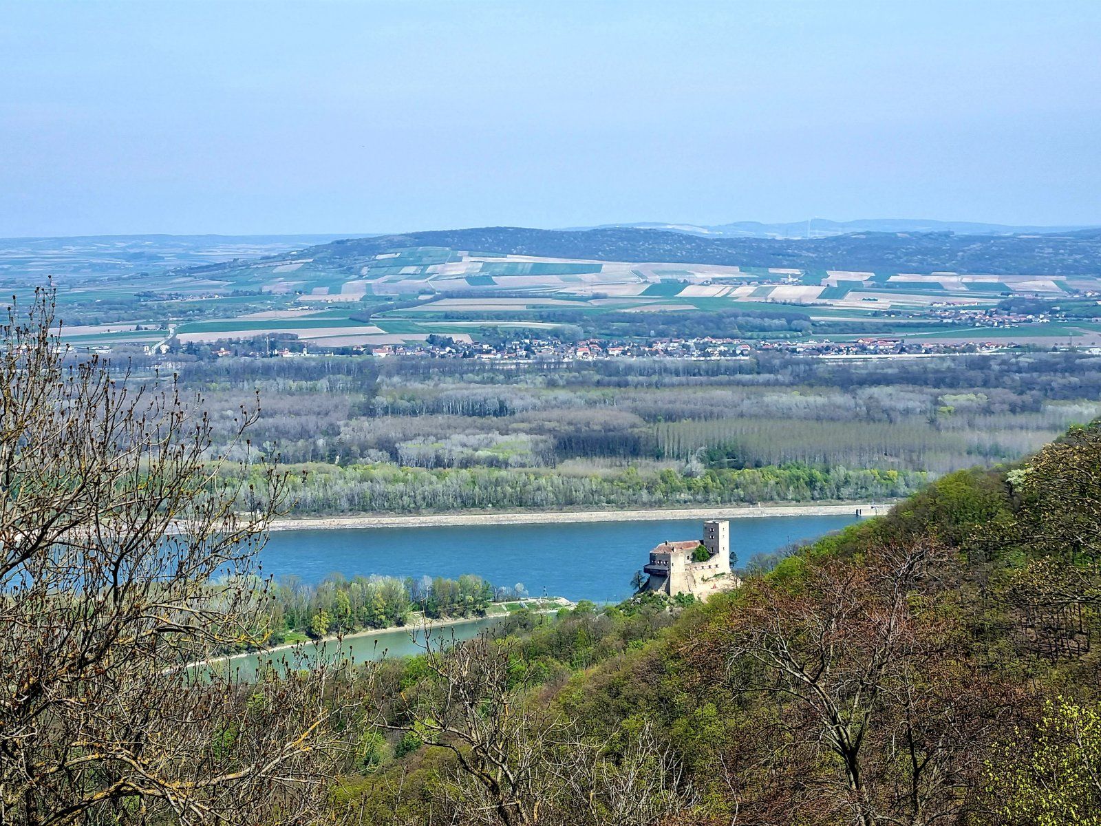 20210424_114437.jpg