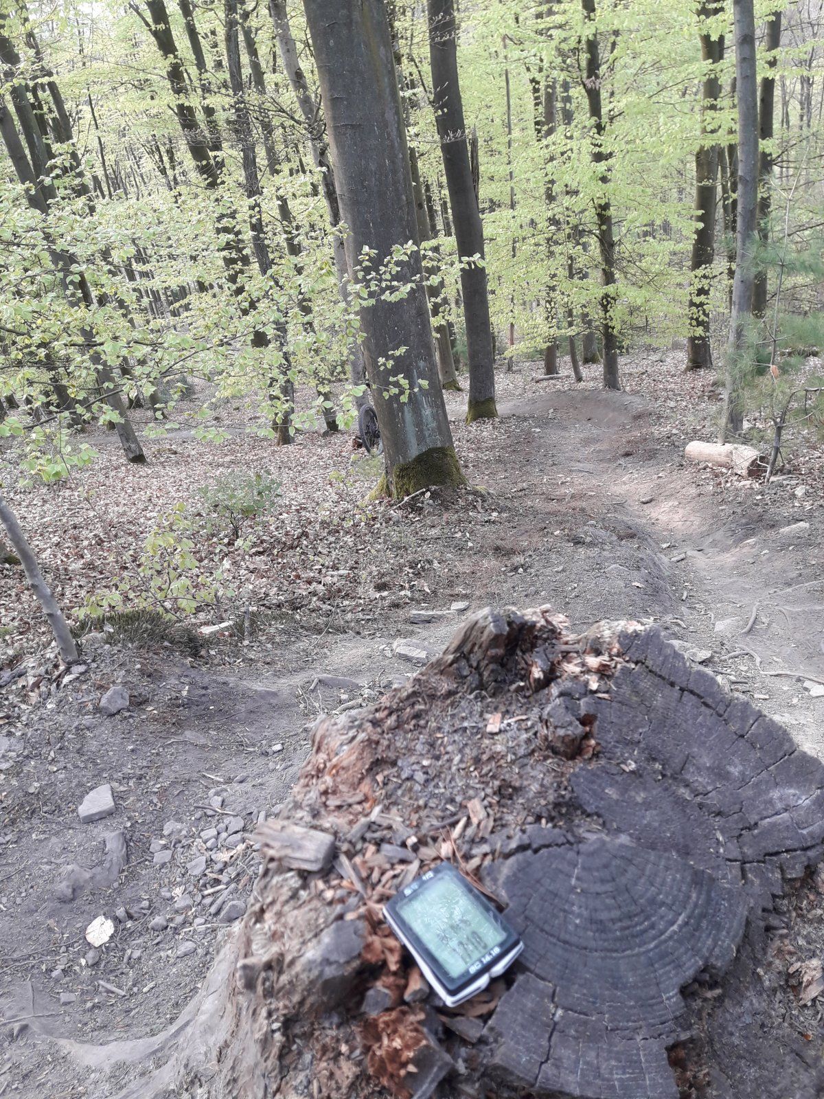 20210501_181004.jpg