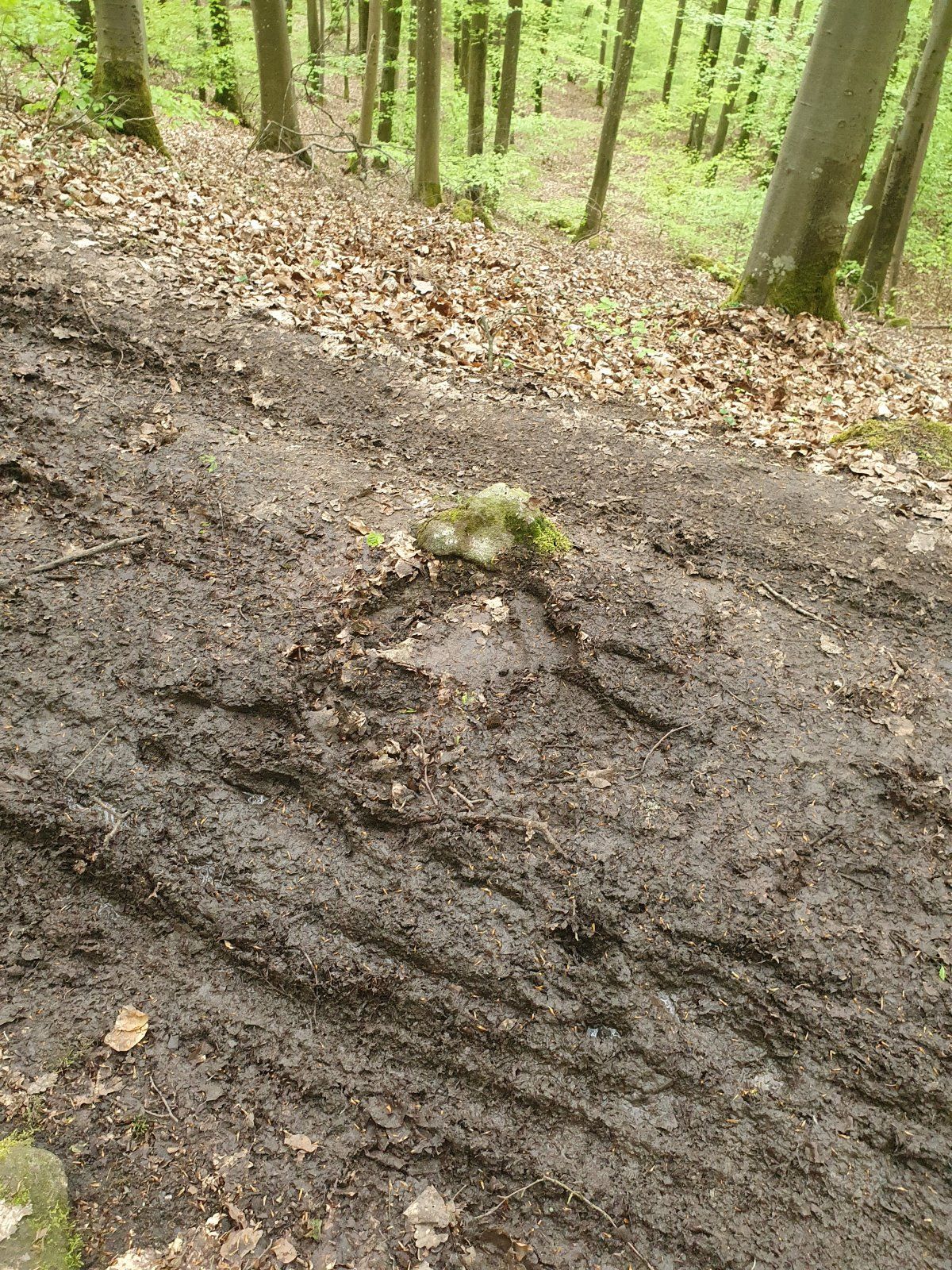 20210510_181651.jpg