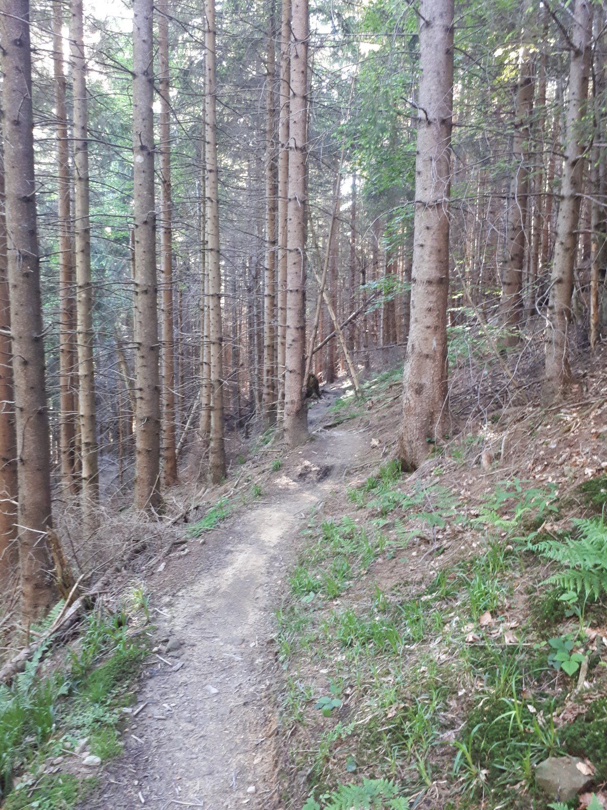 20210613_185944.jpg
