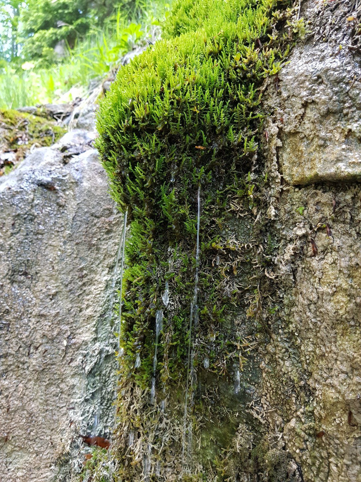 20210618_121936.jpg