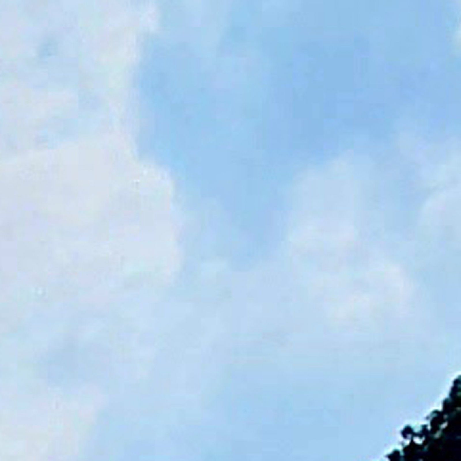 20210804_155513.jpg