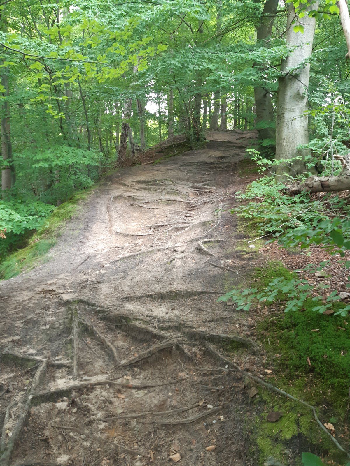 20210809_115356.jpg