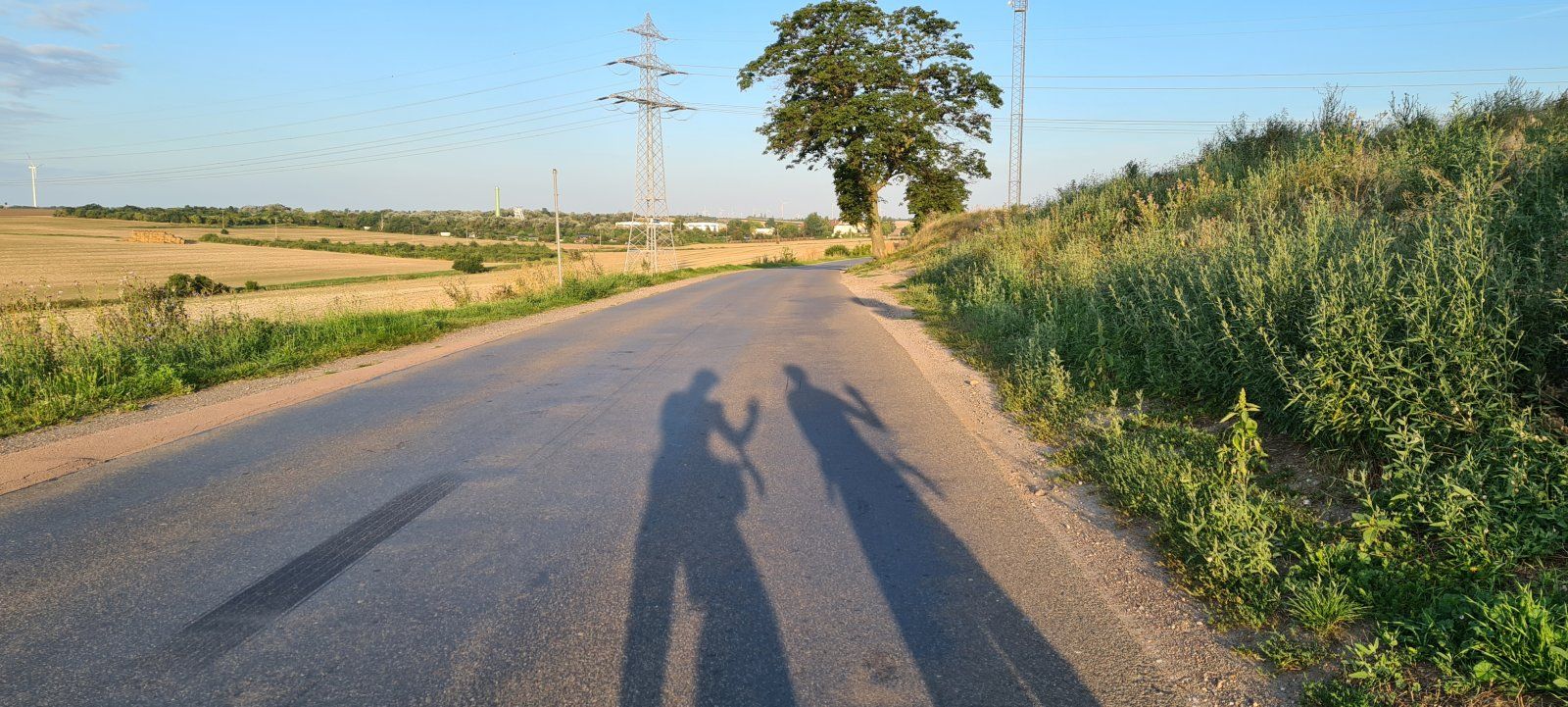 20210815_065955.jpg