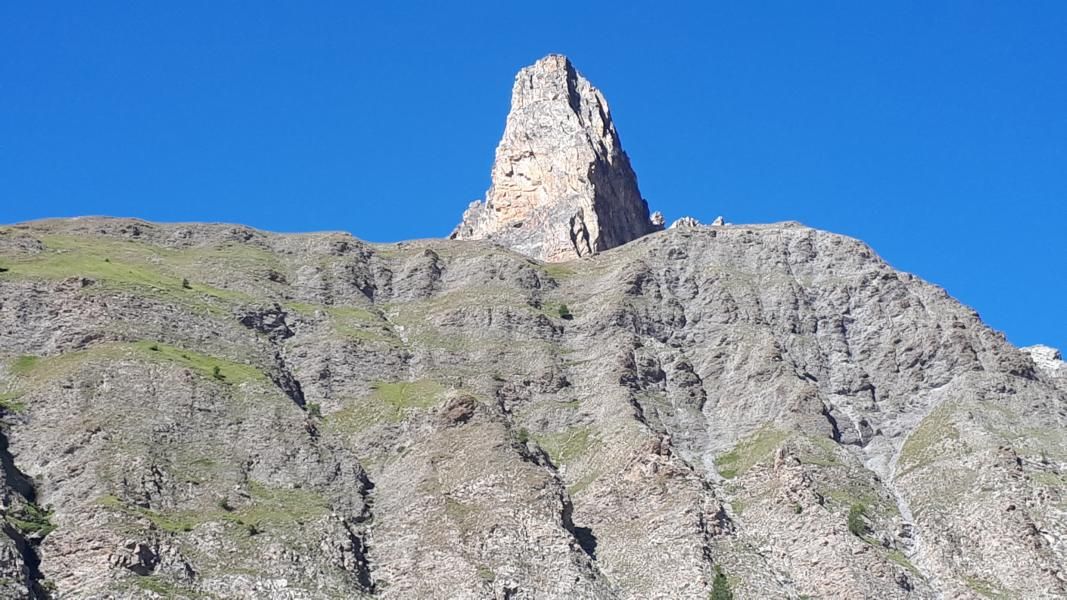 20210827_105800.JPG