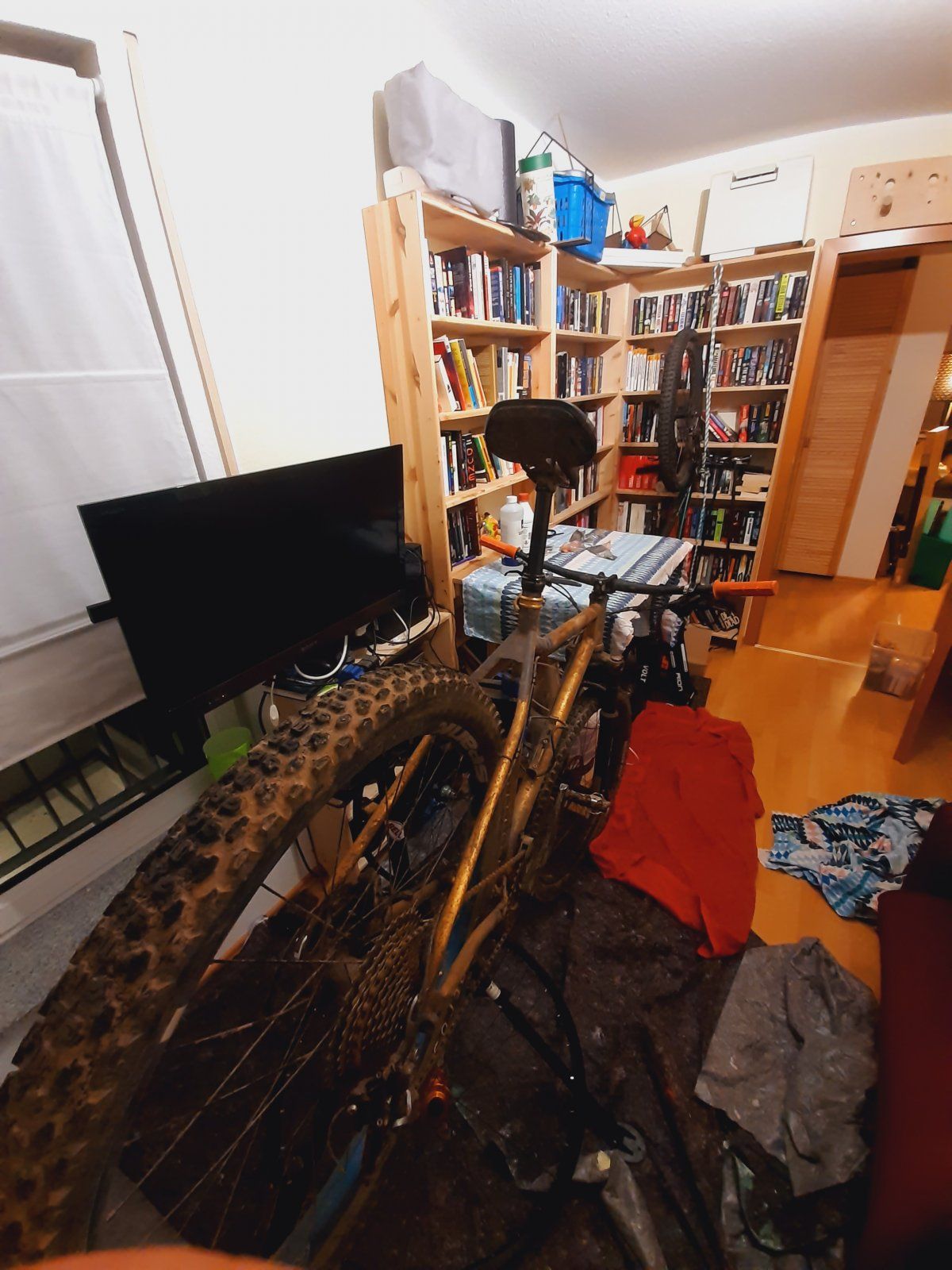 20210903_233158.jpg