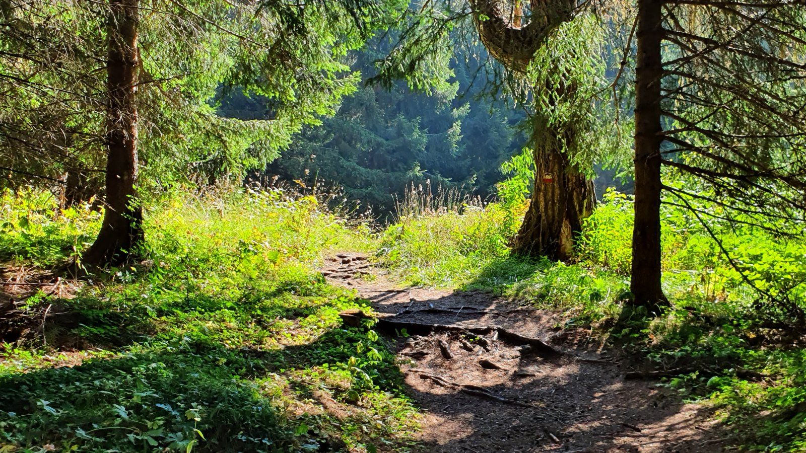 20210913_133746.jpg