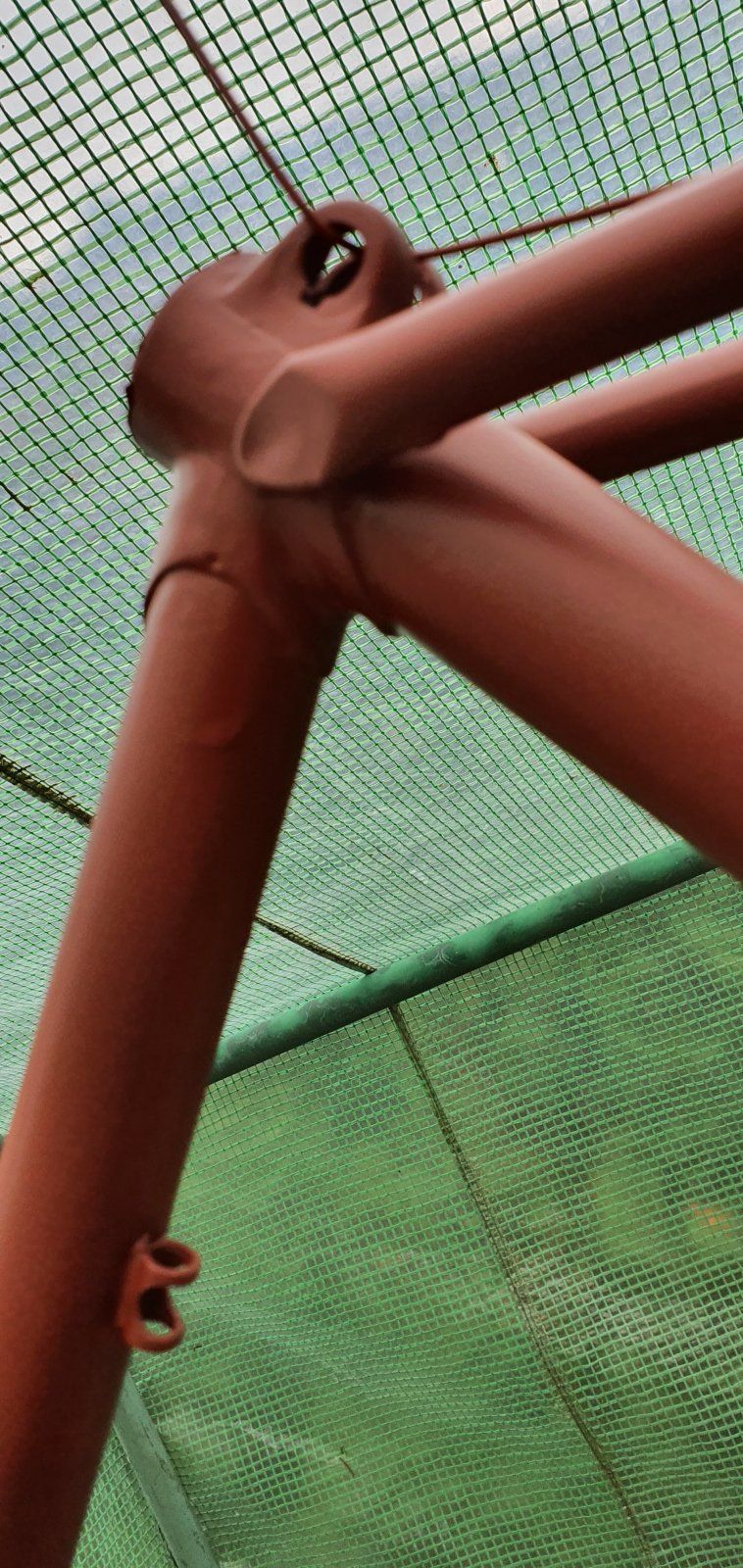 20210915_124659.jpg