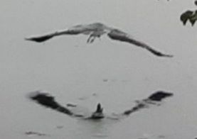 20211012_092941.jpg