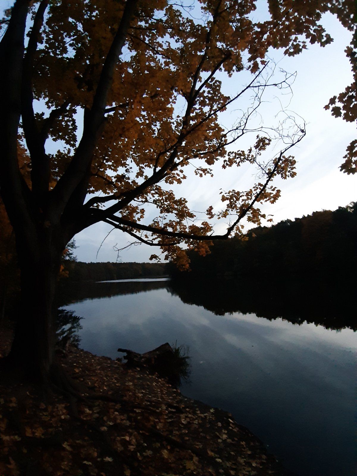 20211020_072353.jpg