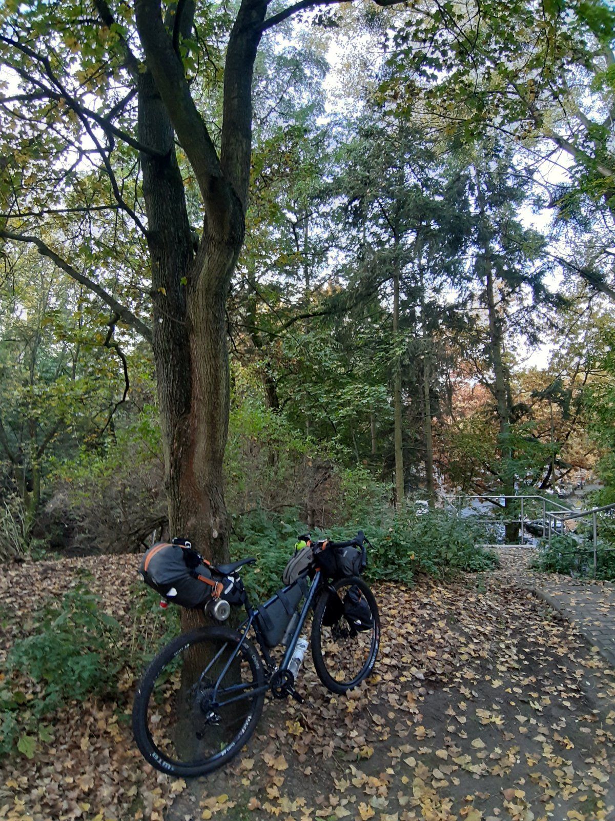 20211020_082949.jpg