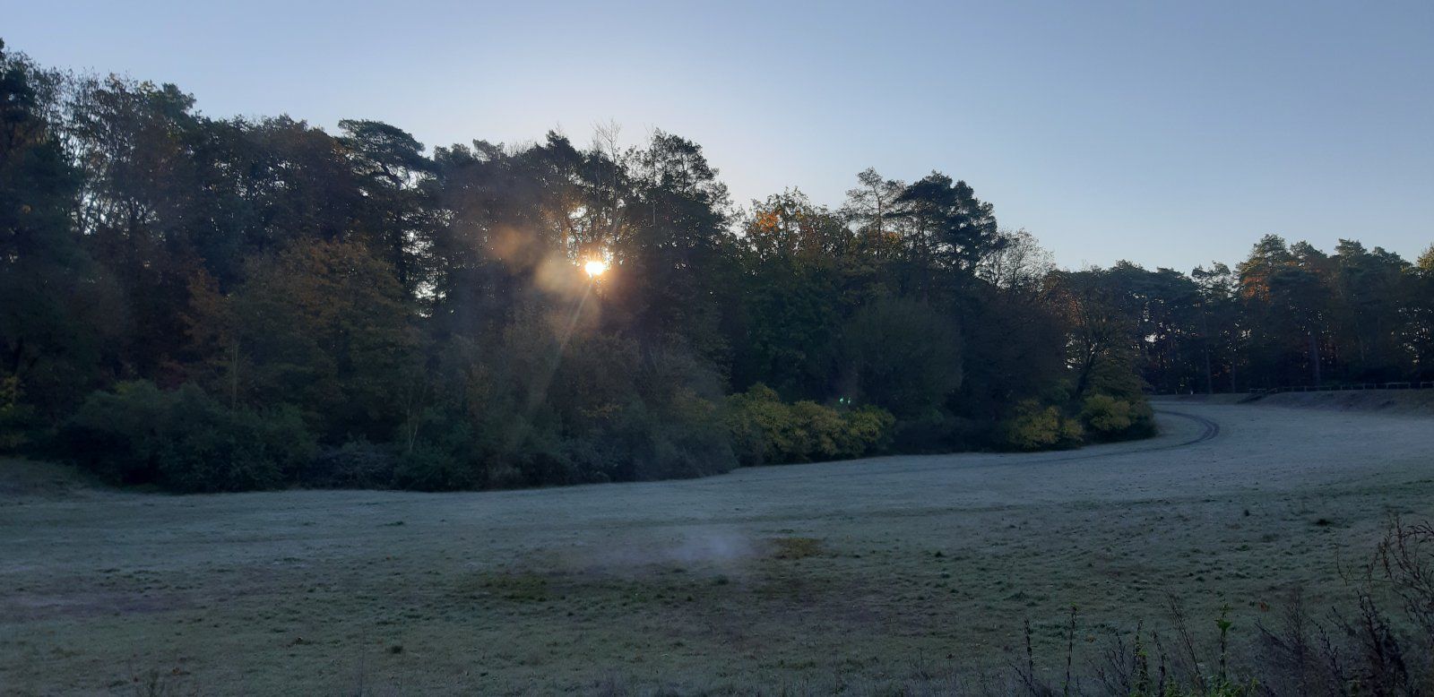 20211025_090348.jpg