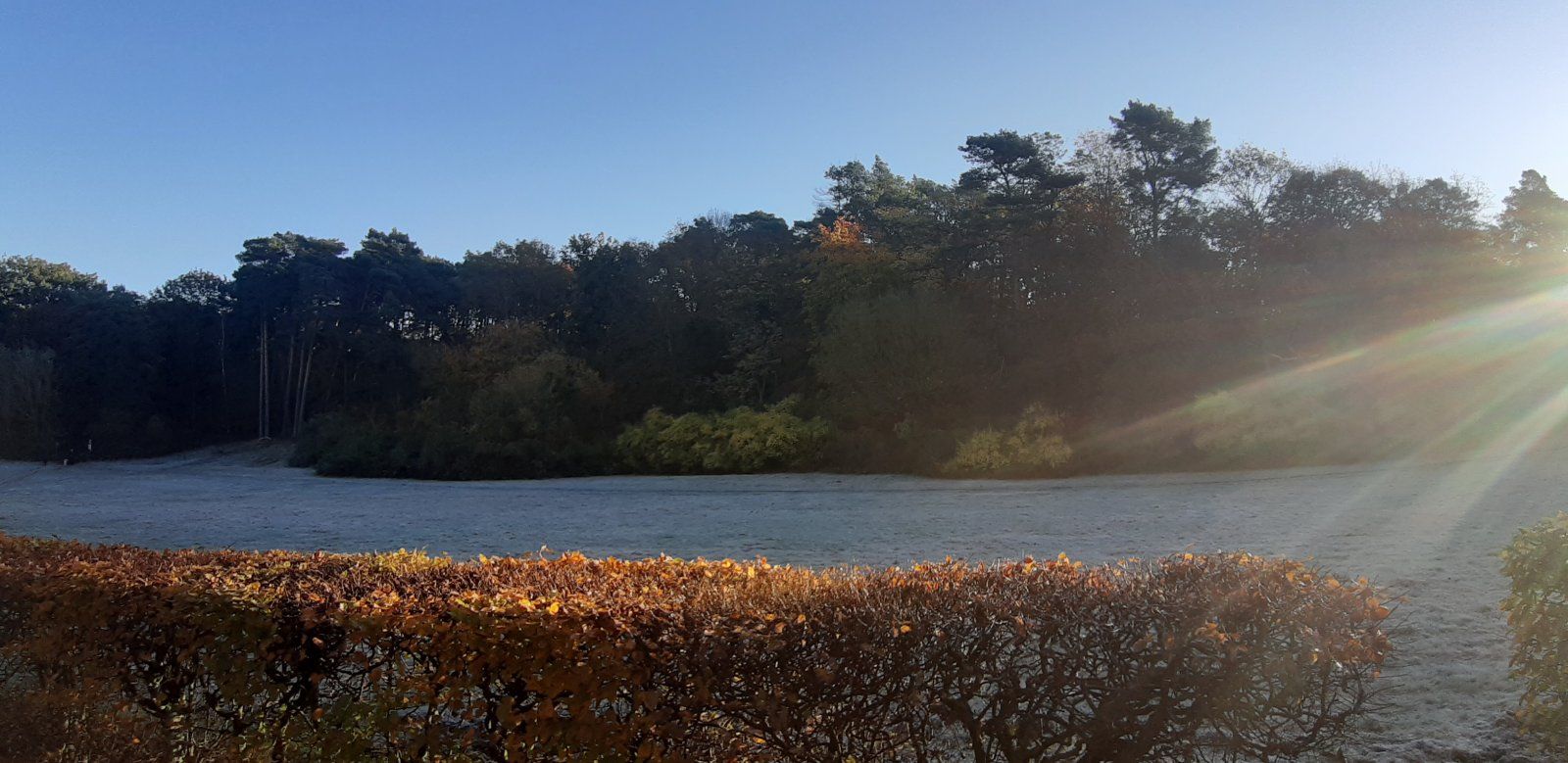 20211025_090601.jpg