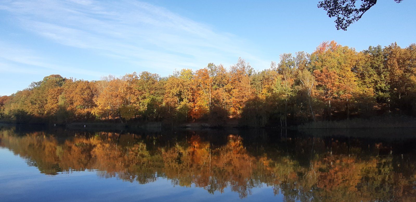 20211025_091137.jpg