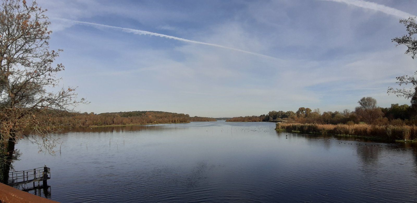 20211025_111116.jpg
