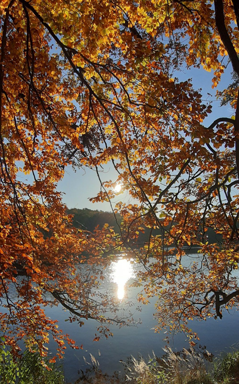 20211025_160028.jpg