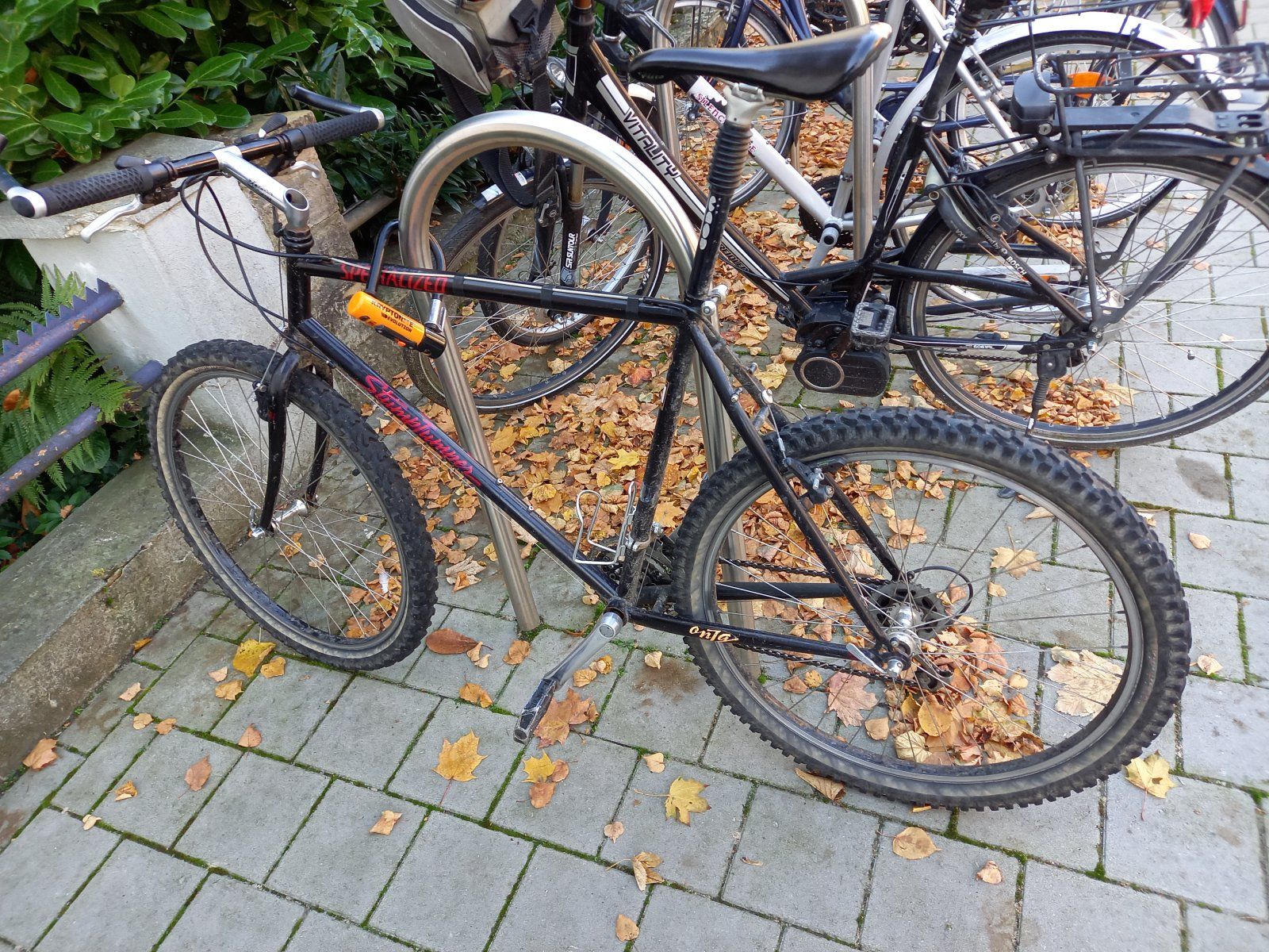 20211029_093830.jpg