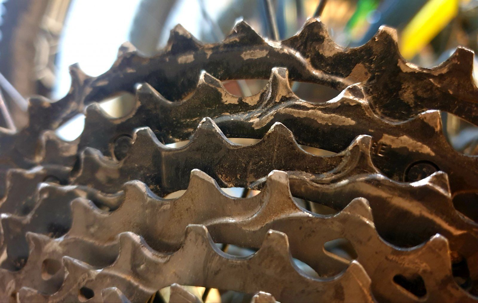 20211031_213440.jpg