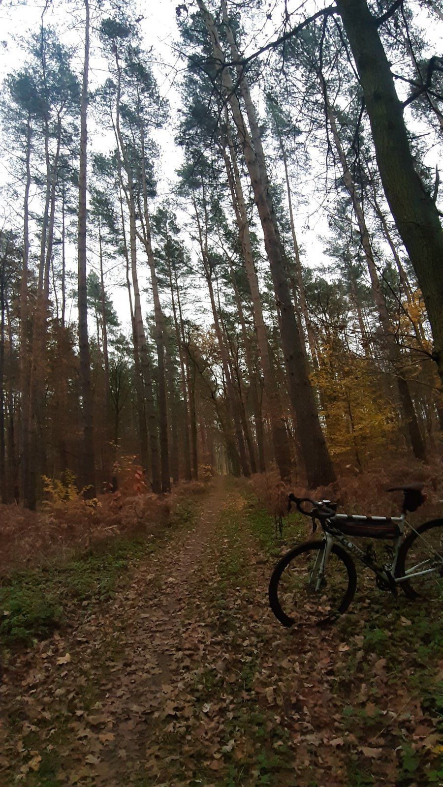 20211117_084304.jpg