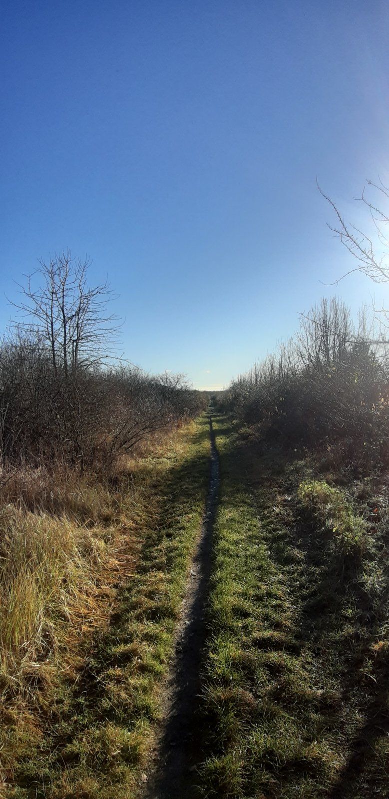 20211122_104430.jpg