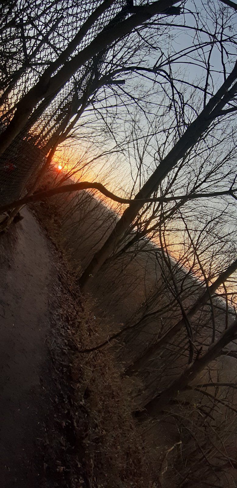 20211216_154724.jpg