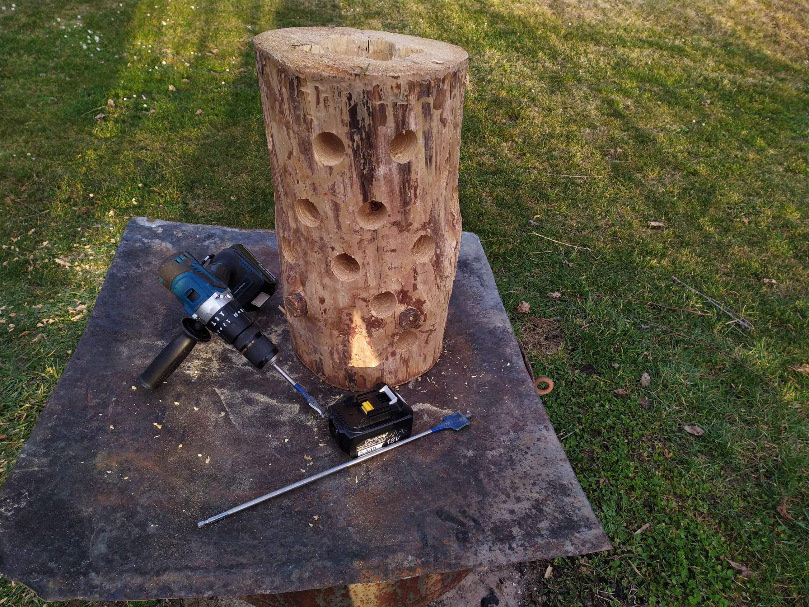 2022-02-26 17.21.07.jpg