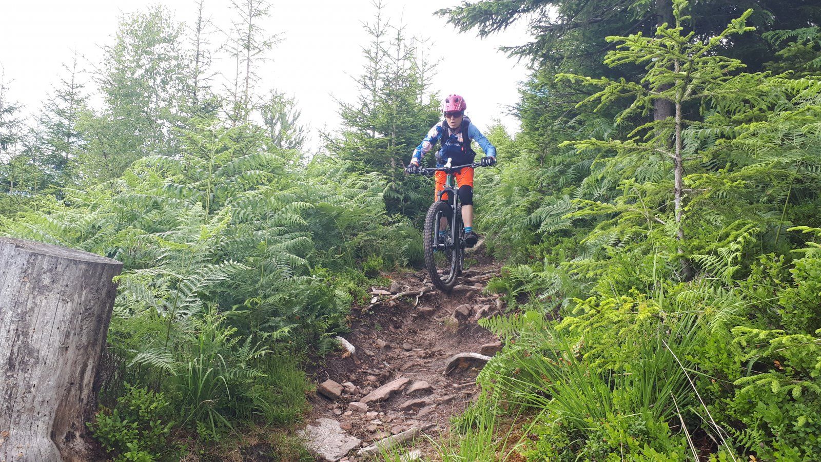 2022-06-25_Baiersbronn-2.jpg