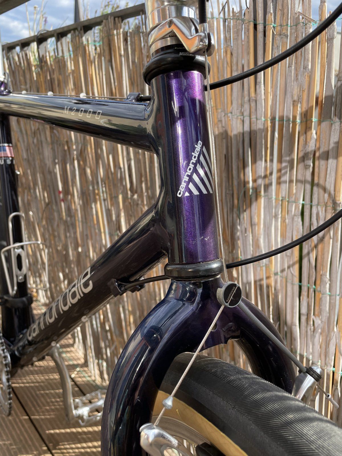 2022-09-03 16.05.56.jpg