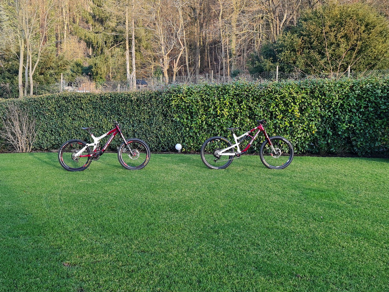 20220120_155715.jpg