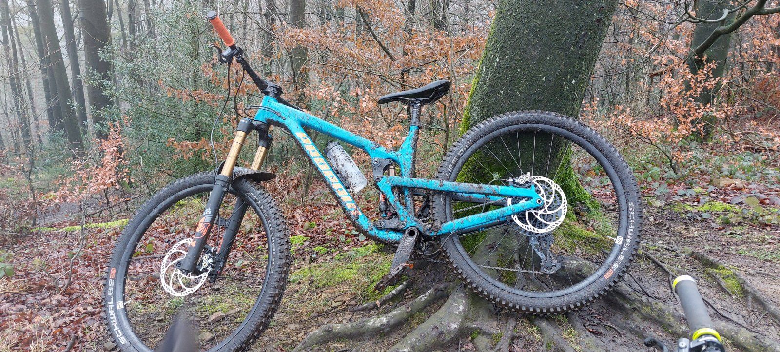 20220123_114337.jpg
