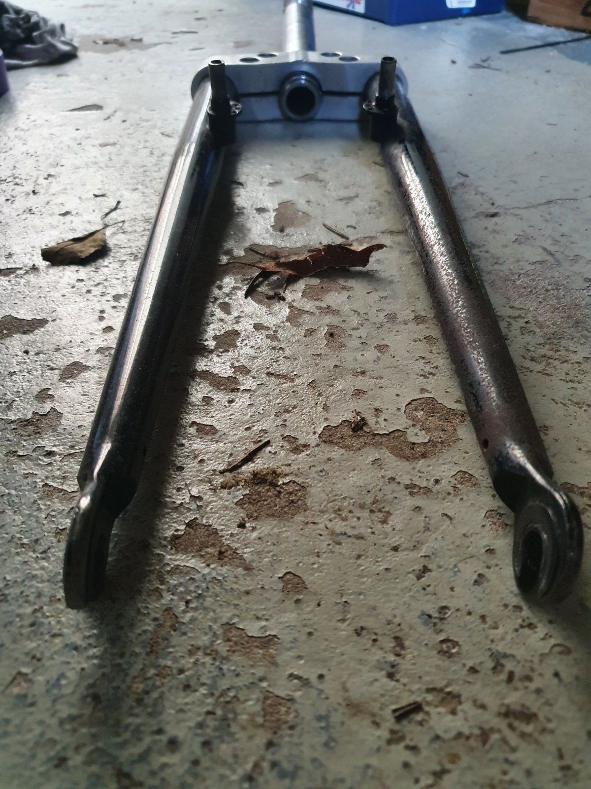 20220130_133513.jpg