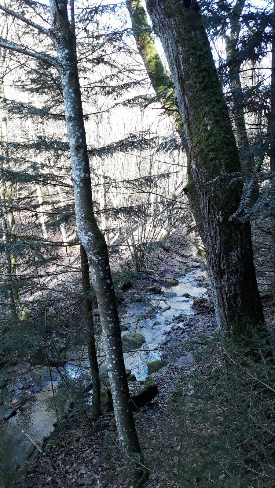 20220212_113314.jpg