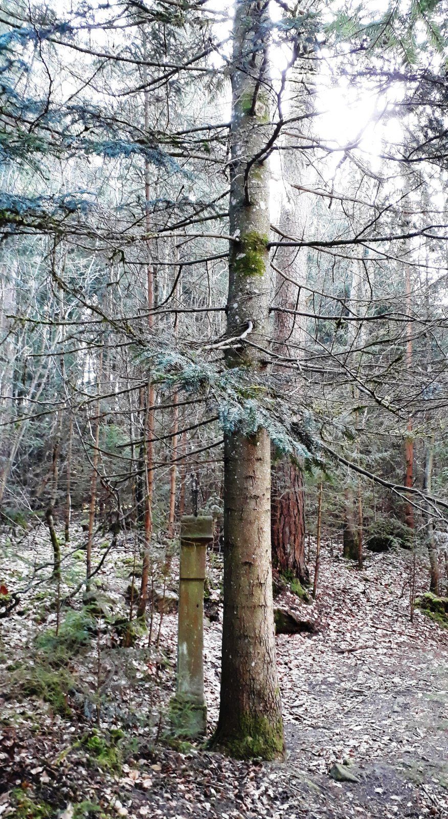 20220212_113407.jpg