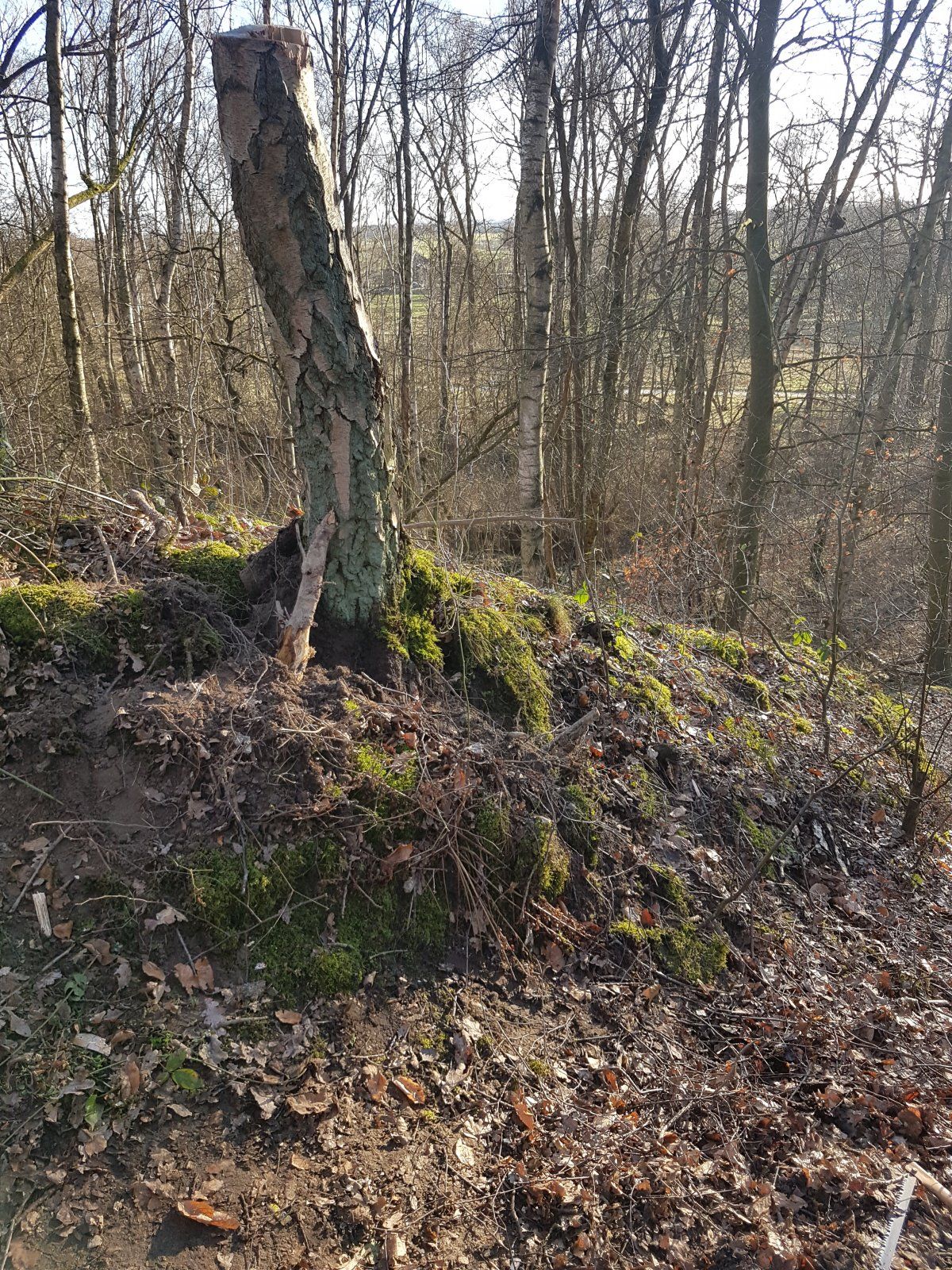 20220226_162901.jpg