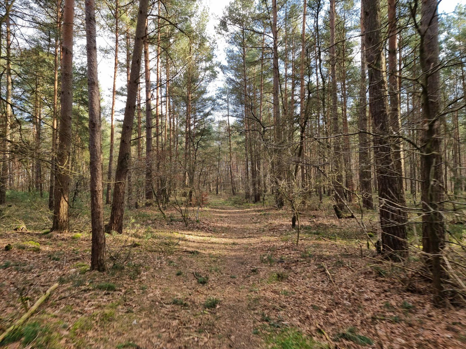 20220305_152817.jpg