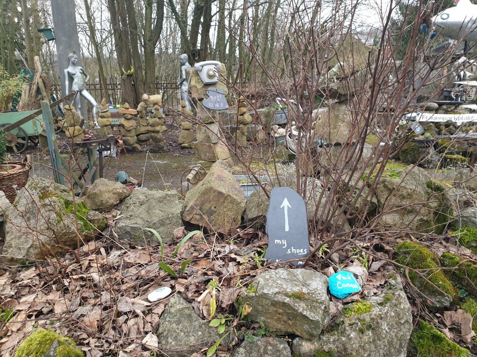 20220317_172911.jpg