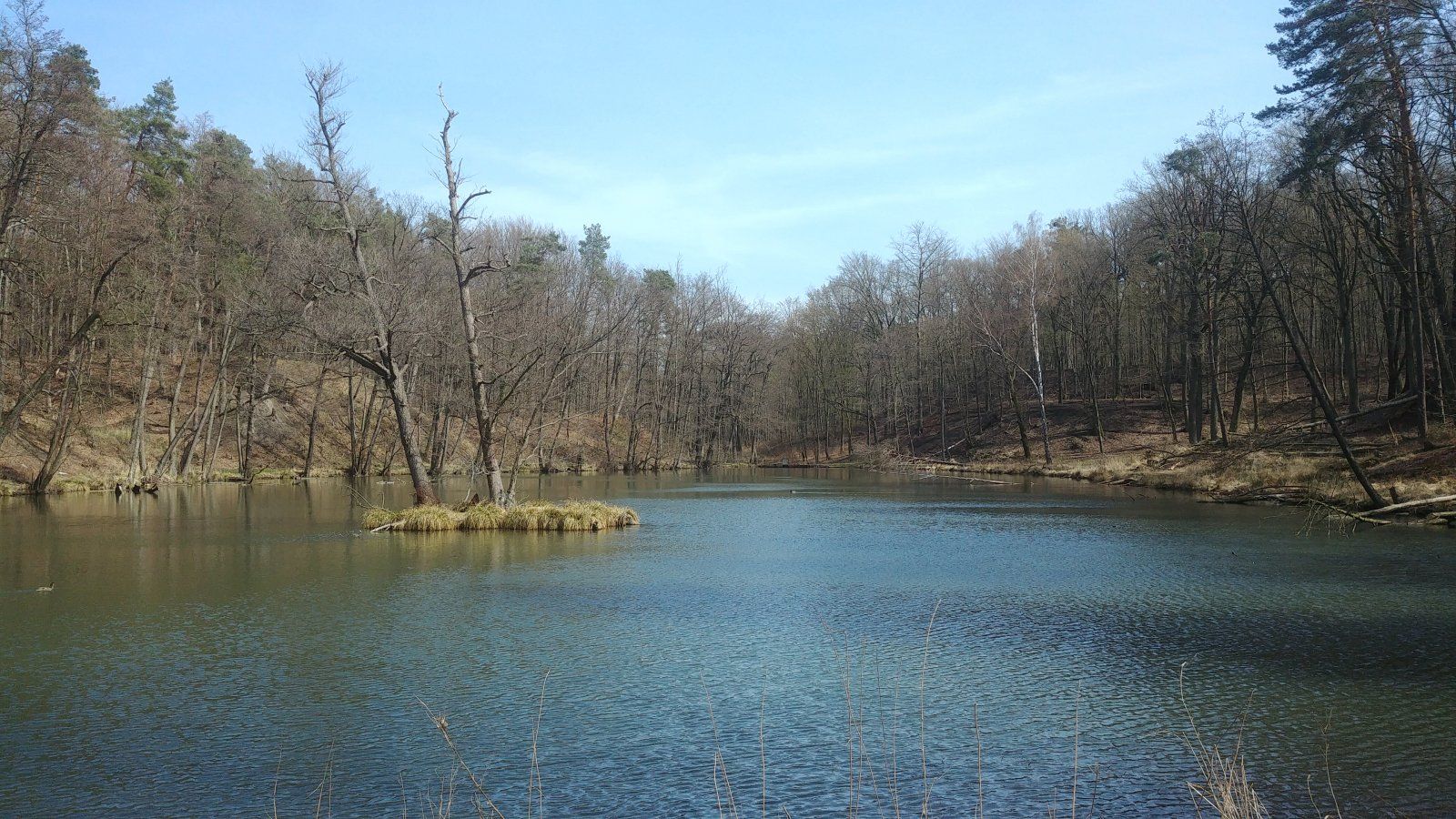20220412_131644.jpg