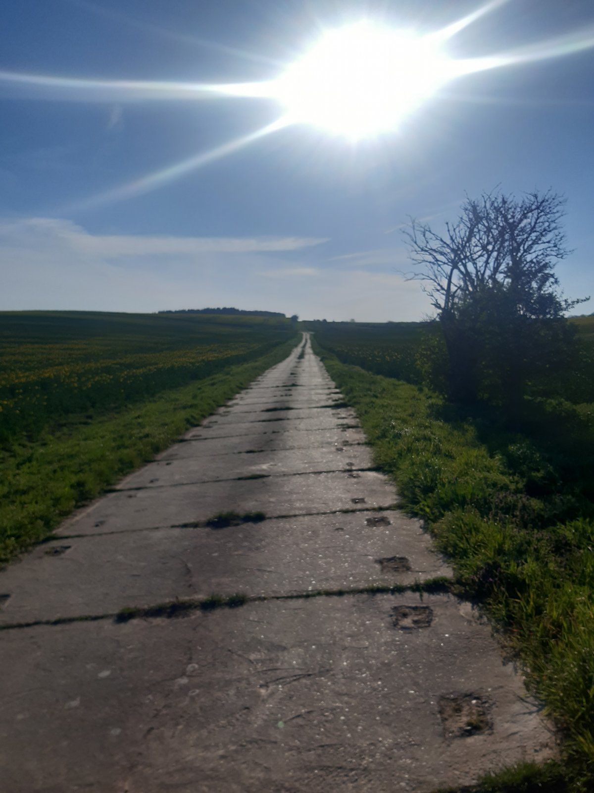 20220423_180646.jpg