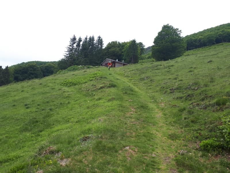 20220526_134330.JPG