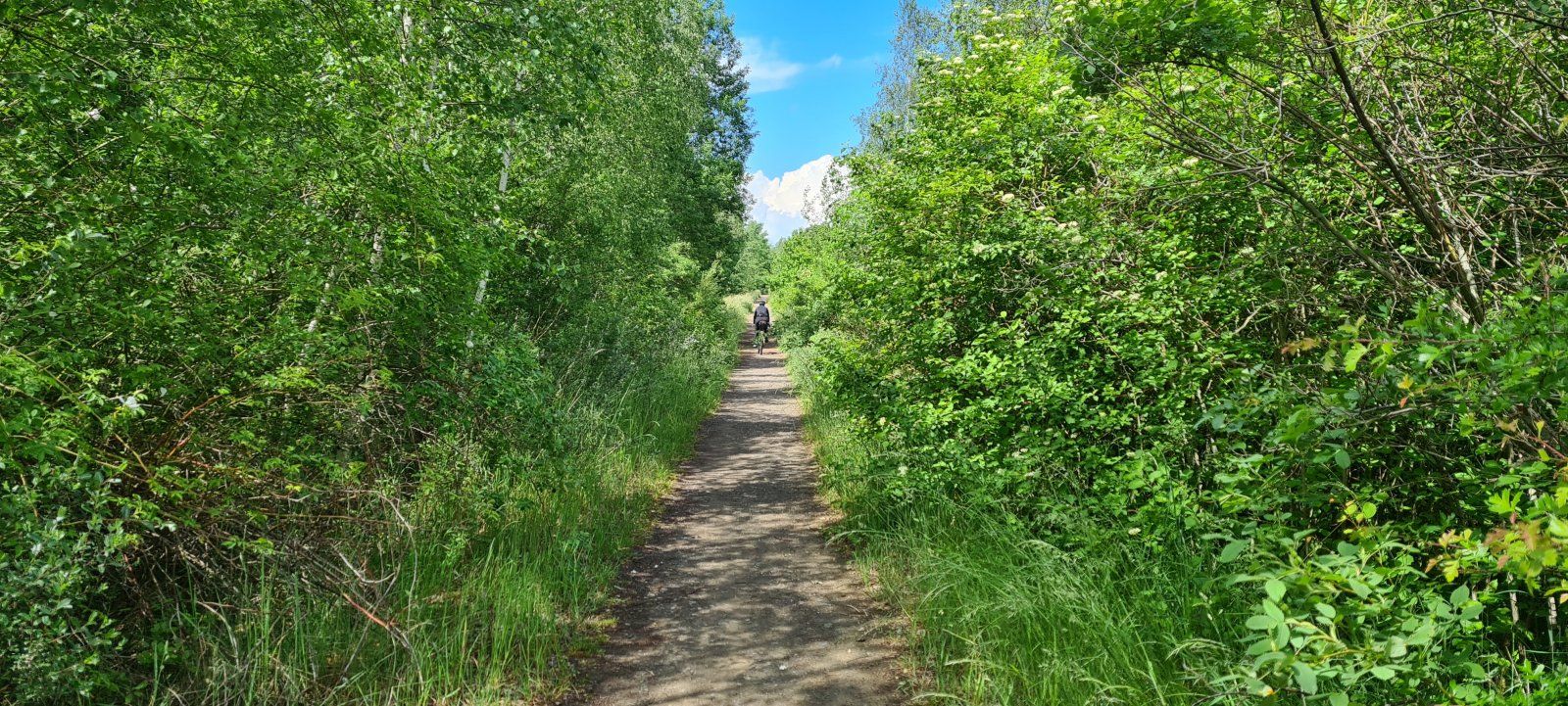 20220527_141333.jpg