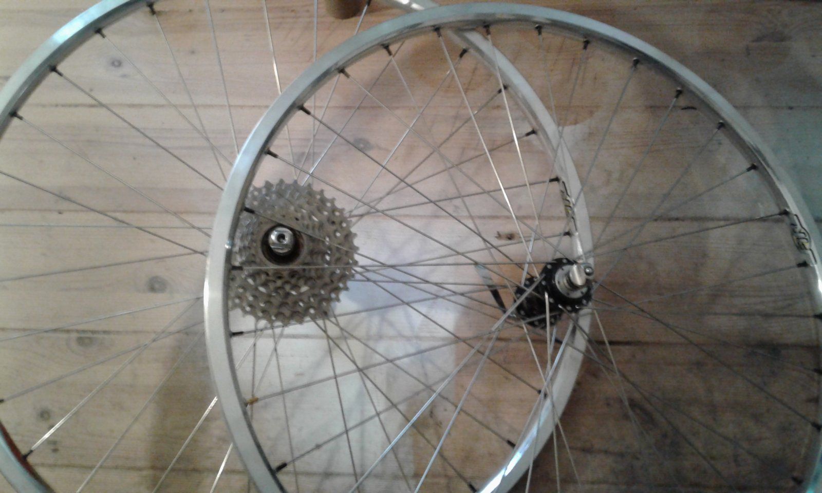 20220528_170819.jpg