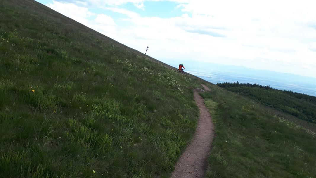 20220531_140107.JPG
