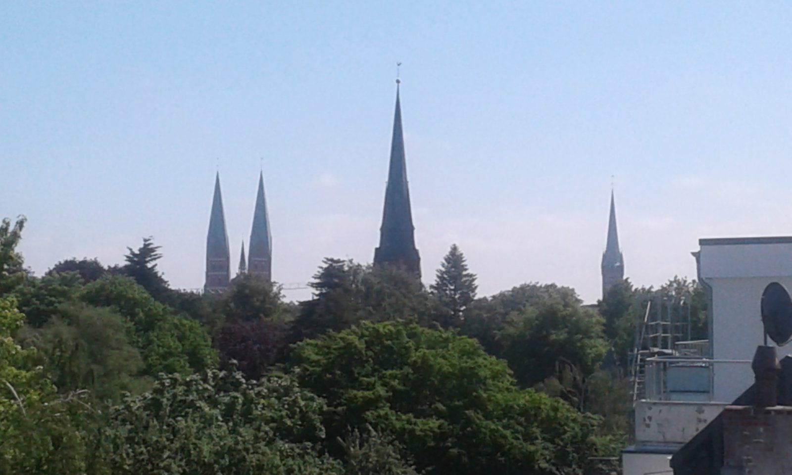 20220604_115349.jpg