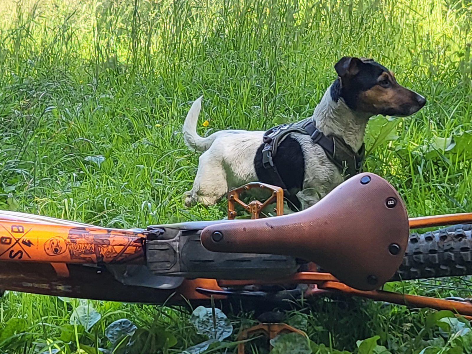 20220615_140548.jpg